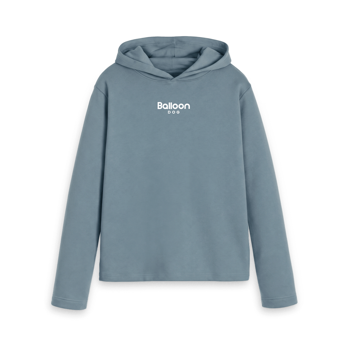 Stone Blue Printed Hoody Front