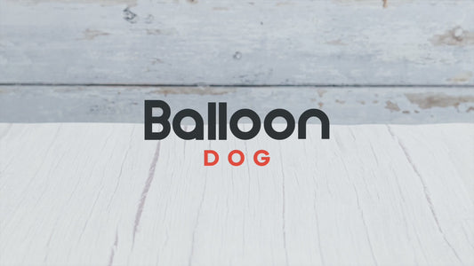 Balloon Dog Fidget Toy - Perfectly imperfect